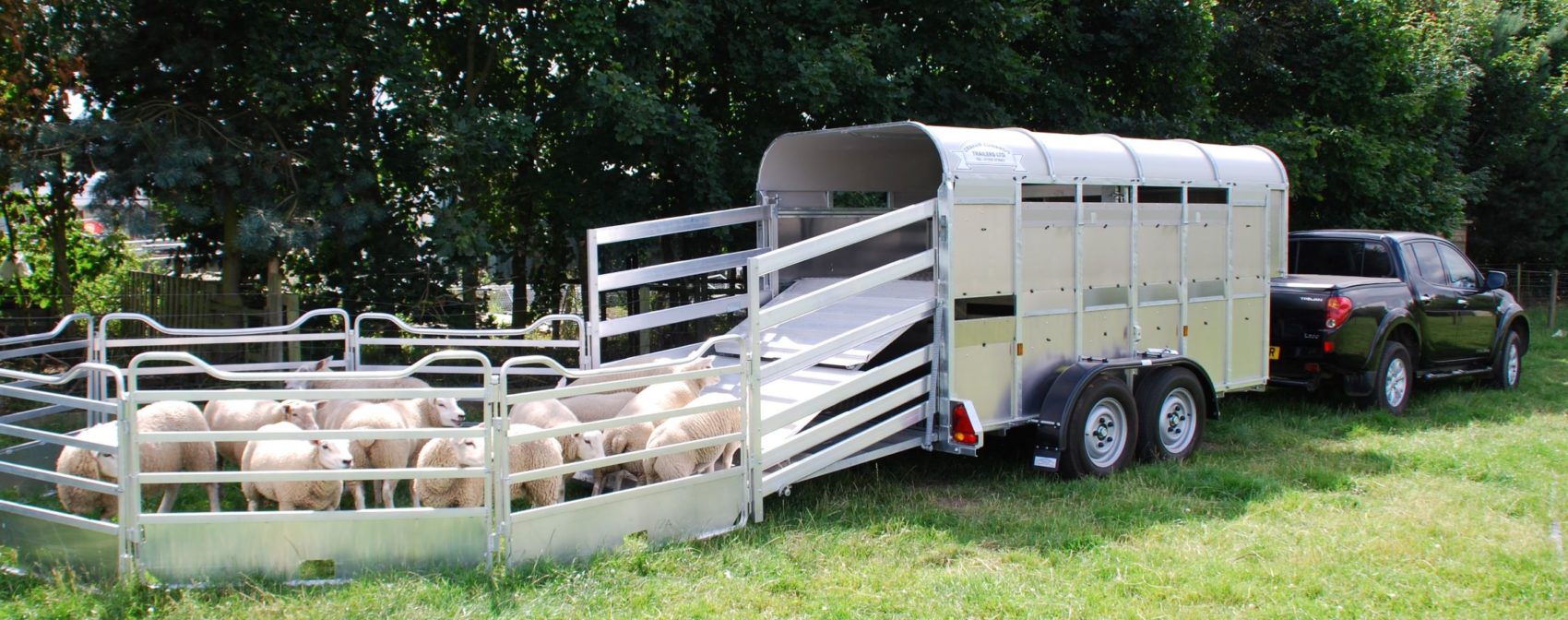 Sheep trailer